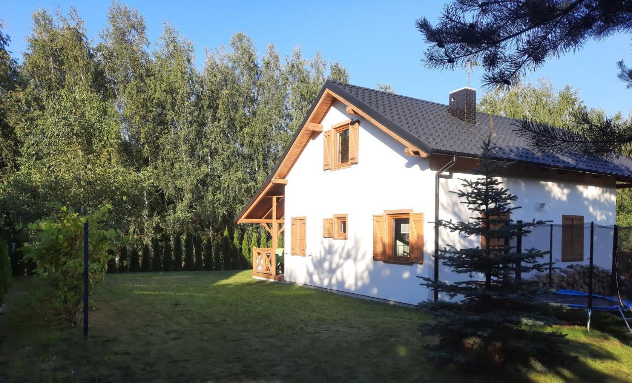 Domek Caloroczny Nad Jeziorem Budzislawskim, Wielkopolska Na Wynajem Anastazewo Exterior photo
